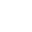 Icono de enfoque personalizado